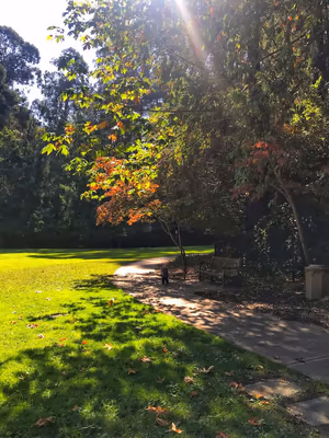 Dracena Quarry Park photo 2